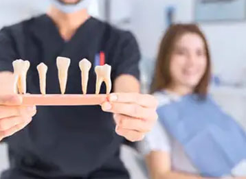 Phasellus nec sem in justo pellentesque facilisis. Etiam imperdiet imperdiet orci